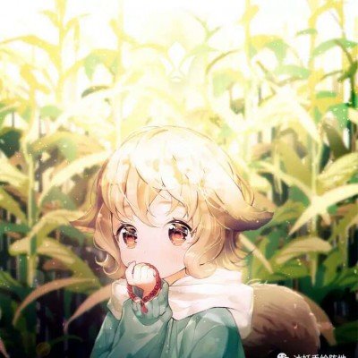 伊朗革命卫队为波斯湾新秩序备战